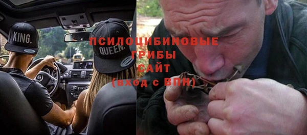таблы Бородино