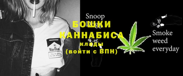 таблы Бородино