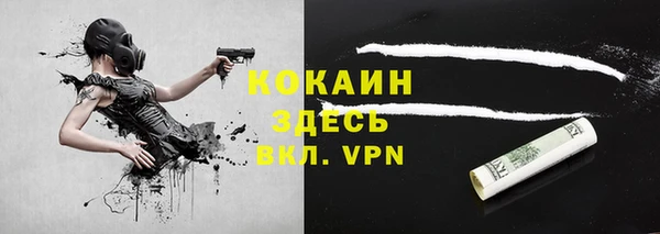 таблы Бородино
