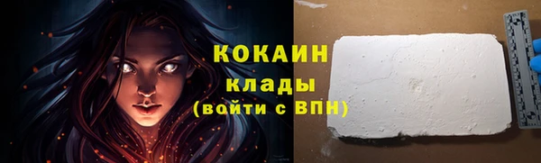 таблы Бородино