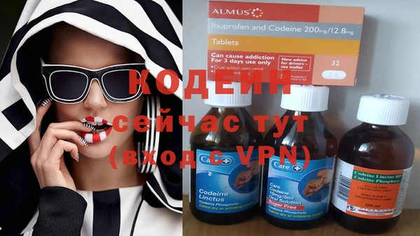 таблы Бородино